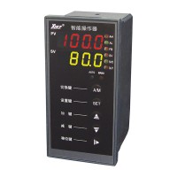 溫州新樂儀器儀表_XWP-NS835系列