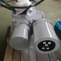 DZW60-24-A00-WK 多回轉(zhuǎn)電動(dòng)頭