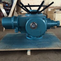 DZW90-24-DSI 95典設(shè)電動裝置