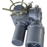 DZW15-24-A00-WK 智能開(kāi)關(guān)型電動(dòng)裝置