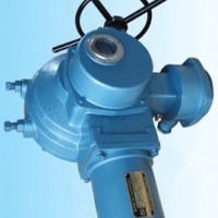 大扭矩電動(dòng)閥門Q400-0.5W 執(zhí)行機(jī)構(gòu)