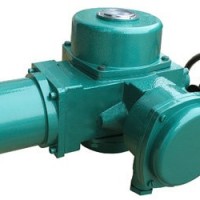 閥門執(zhí)行機構(gòu)F-DQW300-1