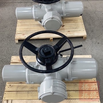 揚修電力隔爆型閥門執(zhí)行器EXC.2SA80