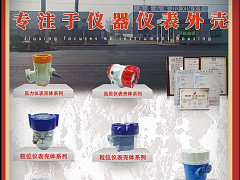 天長(zhǎng)市九星儀表有限公司總經(jīng)理 王書彬  ?2022新年寄語