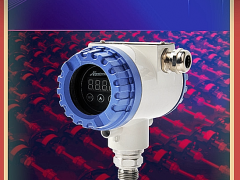 南儀測(cè)控技術(shù)(上海)有限公司總經(jīng)理 桂艷華 2022新春寄語