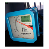 北京中瑞能_ZRN-LZ系列金屬轉(zhuǎn)子流量計(jì)_流量計(jì)