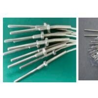 北京中瑞能_ZRN-WZP-T鉑熱電阻（直接引線式）_熱電阻