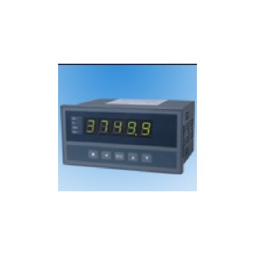 北京中瑞能_XST單輸入通道儀表_儀表