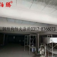 鋼結(jié)構(gòu)防火涂料專業(yè)廠家,鋼結(jié)構(gòu)防火涂料實(shí)體廠家