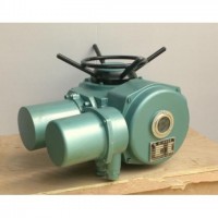 DZW15-24-A00-DS1 95典設(shè)型閥門電動(dòng)裝置