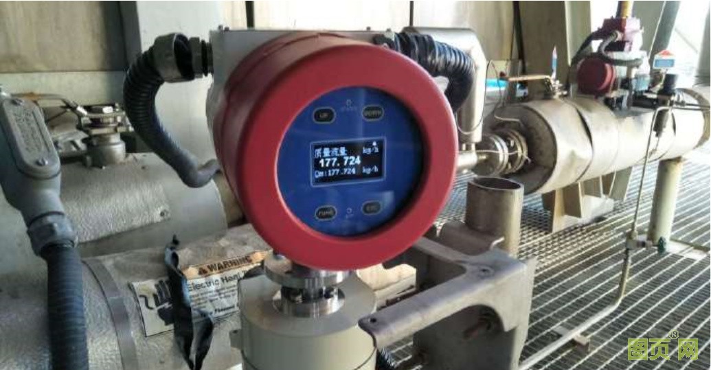 廈門精川小口徑質(zhì)量流量計(jì)