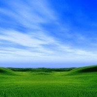 2023天津表面處理展覽會