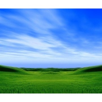 2026第二十八屆中國（安國）國際藥