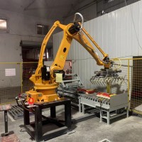 工業(yè)碼垛機器人應(yīng)用優(yōu)勢及品牌商