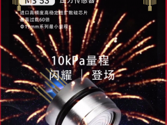 山東佰測傳感科技股份有限公司 副總經(jīng)理 侯欣 2023年新春寄語