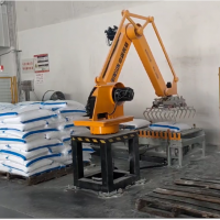 全自動(dòng)高性能碼垛機(jī)器人