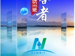 【參會指南】超200家單位報名，五十六場精彩報告，共同開啟鈉電盛會