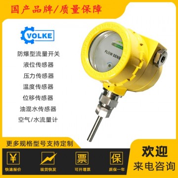防爆式流量開關(guān) 流量感應(yīng)開關(guān) 本安