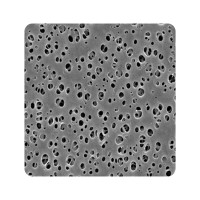 邁博瑞生物膜技術（南通）有限公司