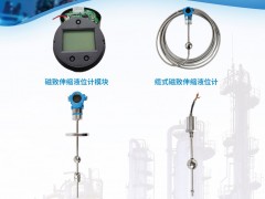 杭州恒量智能磁改伸縮液體計(jì)功能與作用