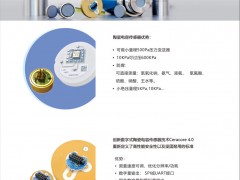 德薩堡公司 作為德國E+H傳感器的唯一授權經銷商的產品優(yōu)勢及合作優(yōu)惠