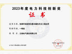 正泰電氣斬獲新榮譽(yù)：電力科技創(chuàng)新一等獎(jiǎng)