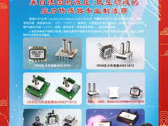 上海蕓圣微電子有限公司 總經(jīng)理 施林生 2024年新春寄語