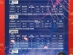 上海芯美電子科技有限公司 總經(jīng)理 常偉霞 2024年新春寄語(yǔ)