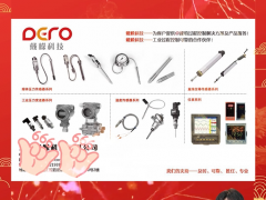 上海戴嶸科技有限公司 總經(jīng)理 楊飛 2024年新春寄語