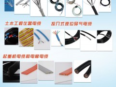 盛邦電線電纜入刊上海世環(huán)會(huì)特刊《儀表與測(cè)量控制》系列客戶報(bào)道44