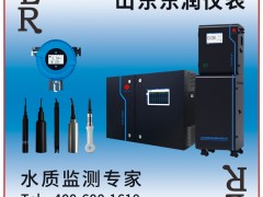 山東東潤儀表成為《2025年儀表摜蛋撲克牌》小王得主-系列報(bào)道2