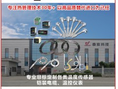 浙江泰索科技成為《2025年儀表摜蛋撲克牌》梅花3得主-系列報道56