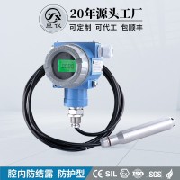 星儀CYW12C防護(hù)型液位變送器防潮防爆投入式水位傳感器
