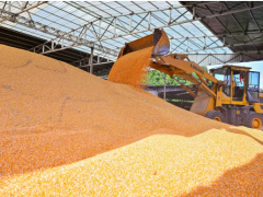 上榜“2025四川省綜合競爭力百強(qiáng)鎮(zhèn)” 仁壽縣這兩個(gè)鄉(xiāng)鎮(zhèn)憑什么？