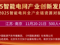 11月南京，這幾位重磅嘉賓將會(huì)出席2025智能電網(wǎng)大會(huì)！