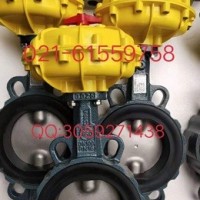 原裝正品 德國(guó)依博羅EBRO氣動(dòng)扇形蝶閥  價(jià)格優(yōu)惠