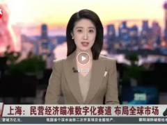 【大賽企業(yè)媒體報道】民營經(jīng)濟(jì)瞄準(zhǔn)數(shù)字化賽道，布局全球市