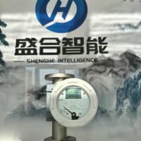 PTFE轉(zhuǎn)子流量計(jì)電池供電型