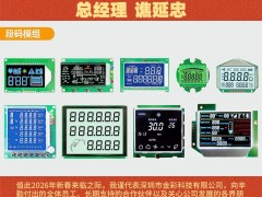 深圳市金彩科技有限公司 總經(jīng)理 譙延忠2026年新春寄語